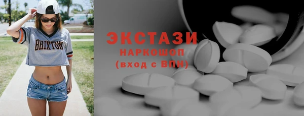 хмурый Аркадак