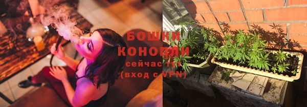 эйфоретик Богданович