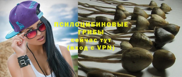 эйфоретик Богданович