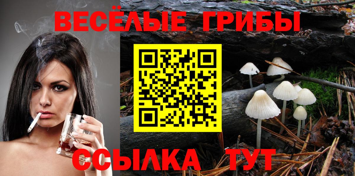 Галлюциногенные грибы мухоморы Спасск-Дальний
